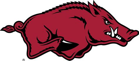 Razorback .